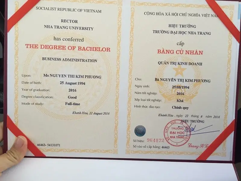 bằng đại học
